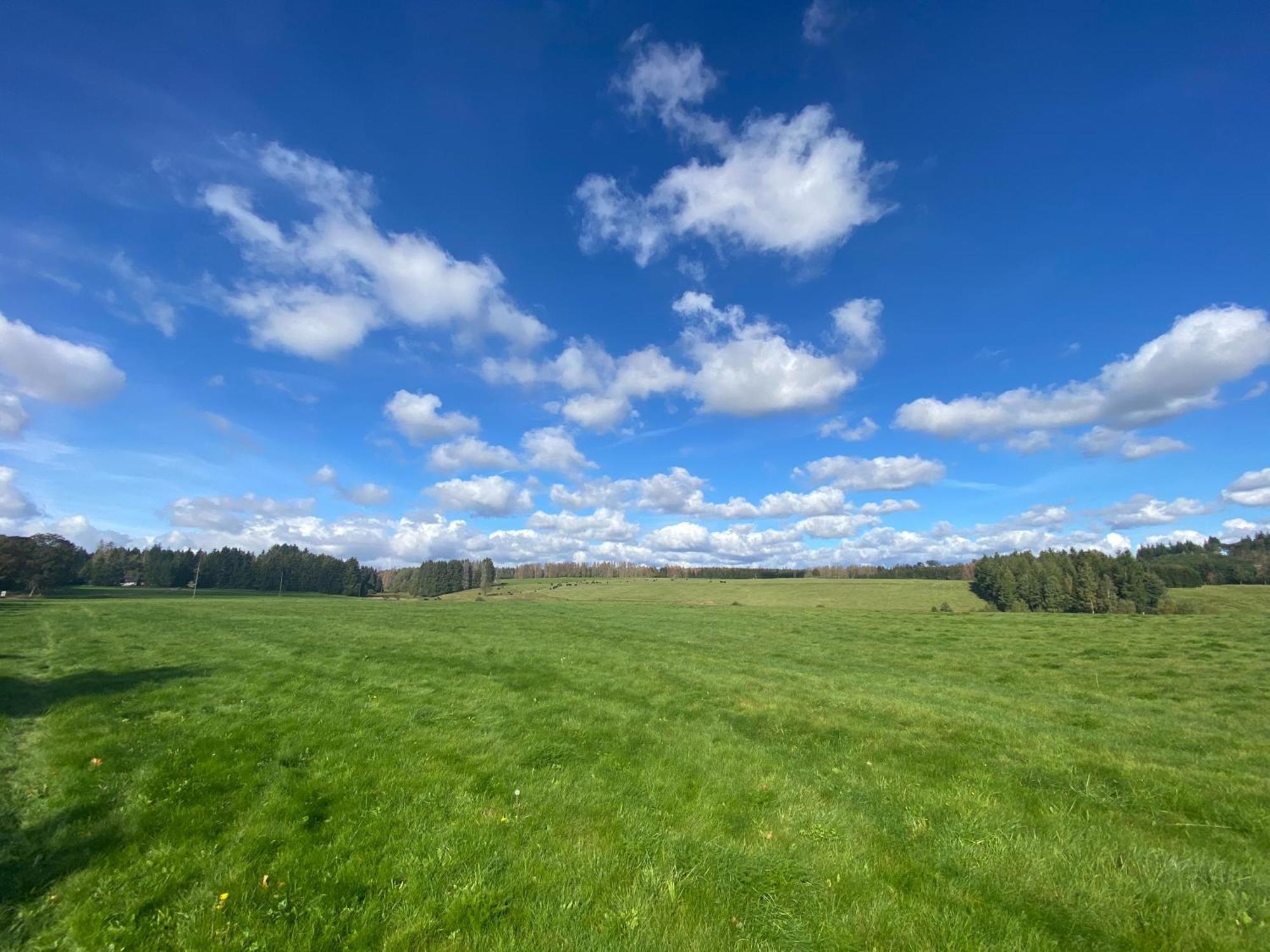Ferienwohnung Harz #3, Pool, Sauna, Wlan Hohegeiß Zewnętrze zdjęcie